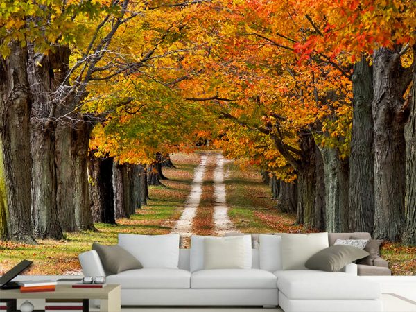 Zlatna Staza Kroz Krošnje