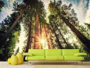 PRIRODA FOTO TAPETE 062