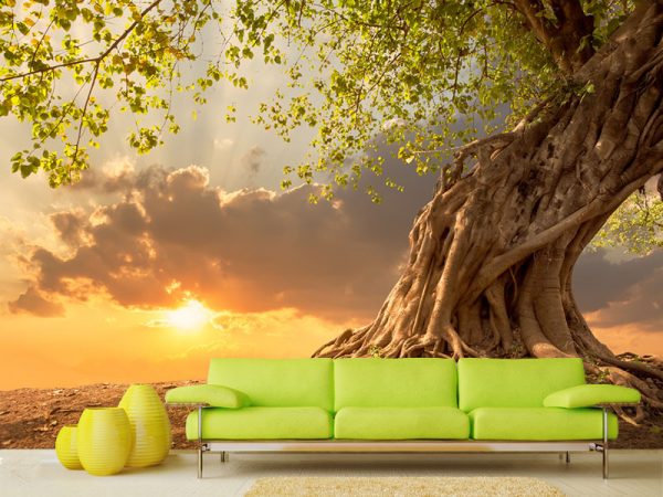 PRIRODA FOTO TAPETE 082