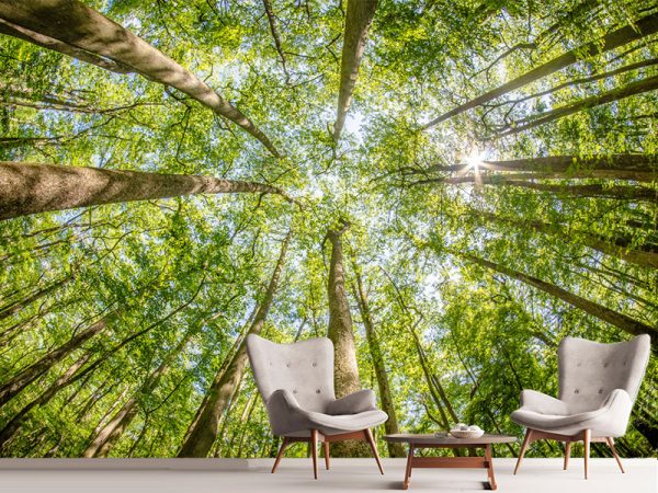 Dnevne sobe foto tapete 040