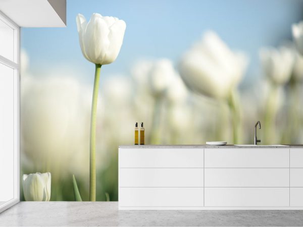 Kuhinjske tapete 013