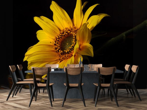 Kuhinjske tapete 086a