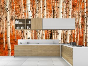 Kuhinjske tapete 043