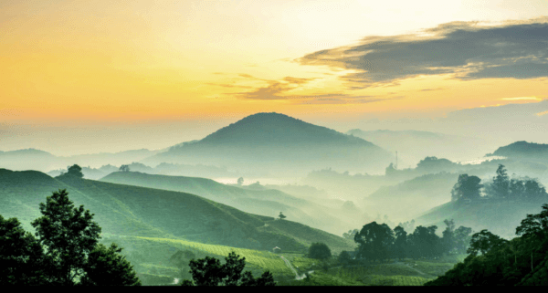 Dnevne sobe foto tapete 026