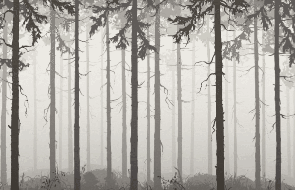 Dnevne sobe foto tapete 021