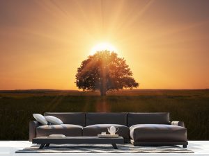 ZALAZAK SUNCA FOTO TAPETE 016