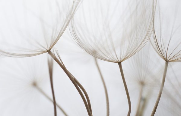 Dnevne sobe foto tapete 041A