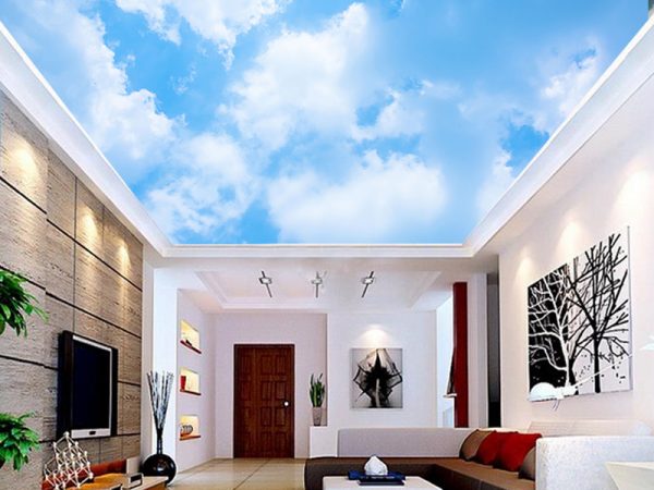 Plafonske foto tapete 010