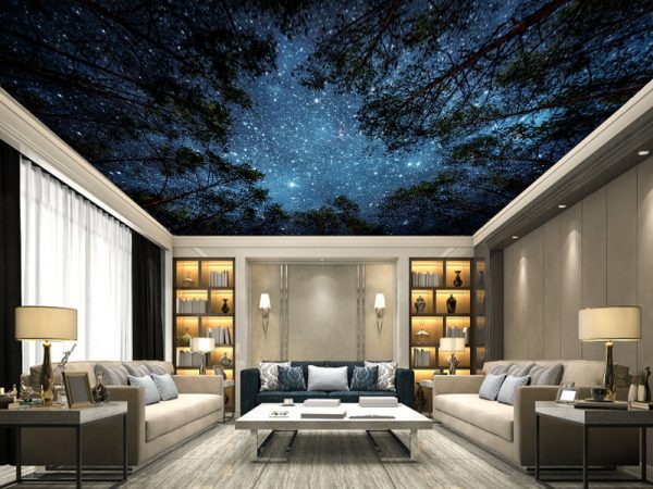 Plafonske foto tapete 024