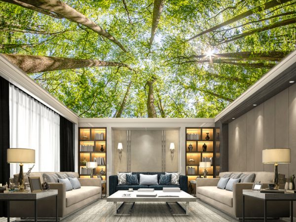 Plafonske foto tapete 045