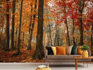 Zlatna Šumska Jesen