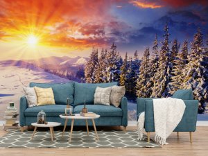 Zlatna Zora Nad Snežnom Šumom