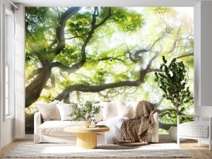 Krošnje U Svetlosti Jutra