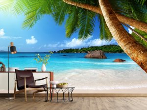 Palme I Tirkizna Obala