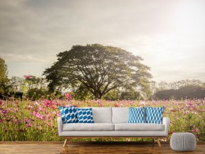 Drvo Mira u Cvetnoj Dolini