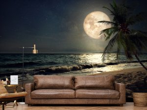 Mesečina Nad Tropskom Obalom