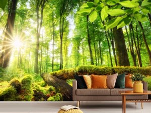 Zlatna Svetlost Šumskog Jutra