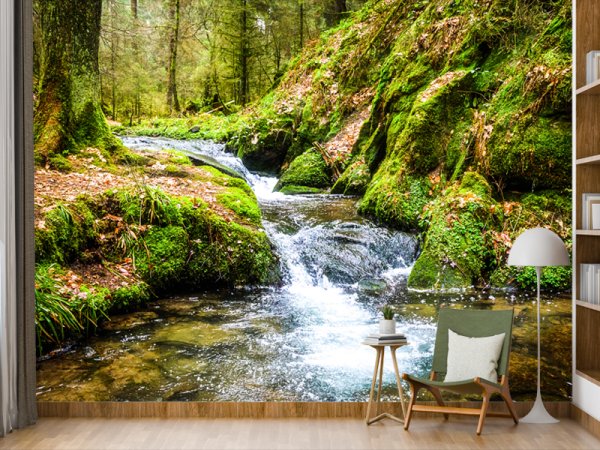 Šumski Potok Smaragdne Svežine