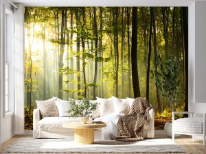 Zlatni Zraci Šumske Magije