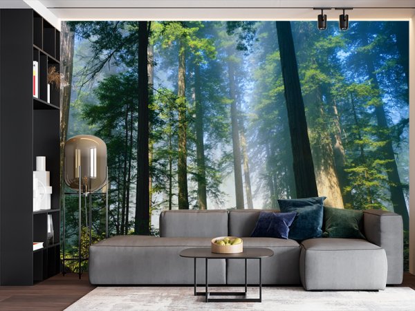 Nebeski Stubovi Šumske Svetlosti