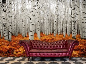 Bela Šuma U Zlatnom Podnožju