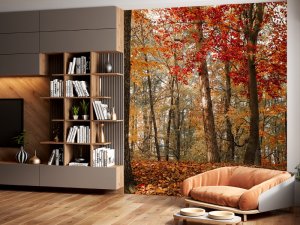 Jesenji Put Kroz Zlatnu Šumu