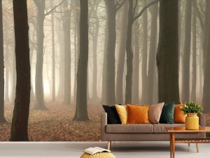 Maglovita Šuma Tihe Dubine