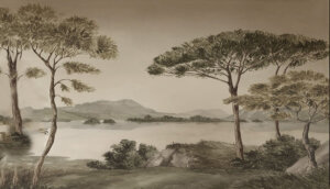 Tiha Panorama Jezera