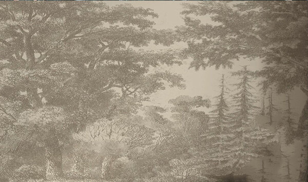 Tiha Šumska Gravura